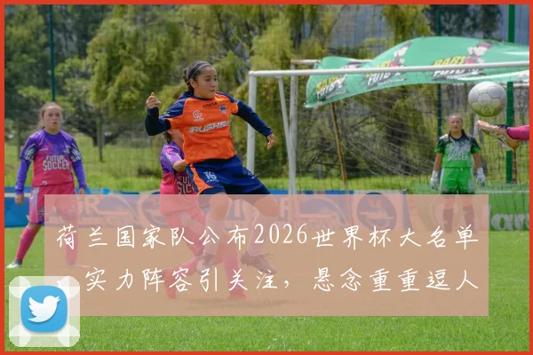 荷兰国家队公布2026世界杯大名单，实力阵容引关注，悬念重重逗人遐想