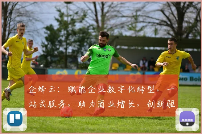 企蜂云：赋能企业数字化转型，一站式服务，助力商业增长，创新驱动，智慧共赢三步曲