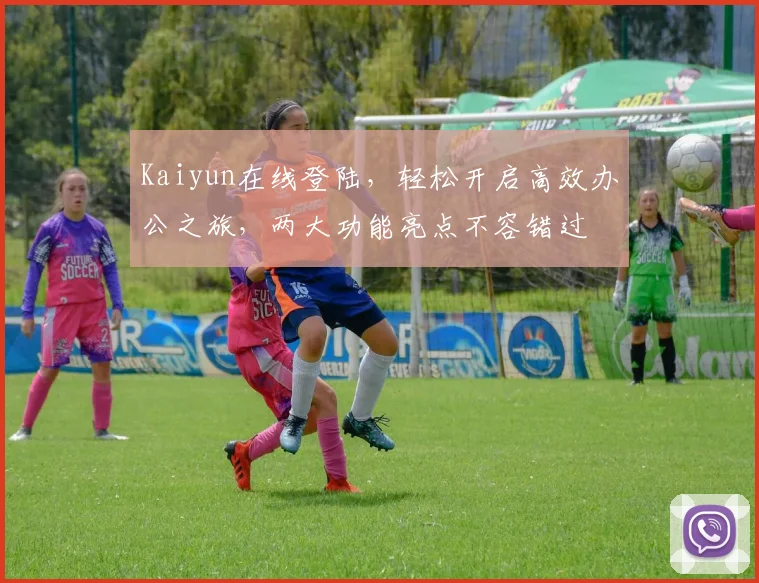 Kaiyun在线登陆，轻松开启高效办公之旅，两大功能亮点不容错过