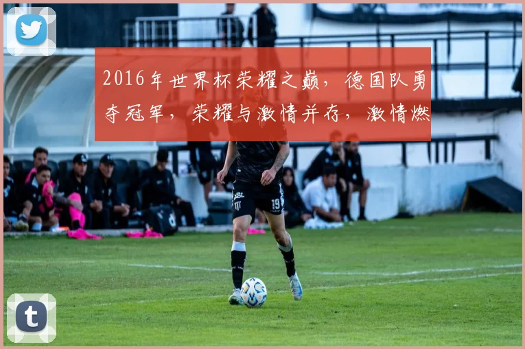 2016年世界杯荣耀之巅，德国队勇夺冠军，荣耀与激情并存，激情燃烧的岁月