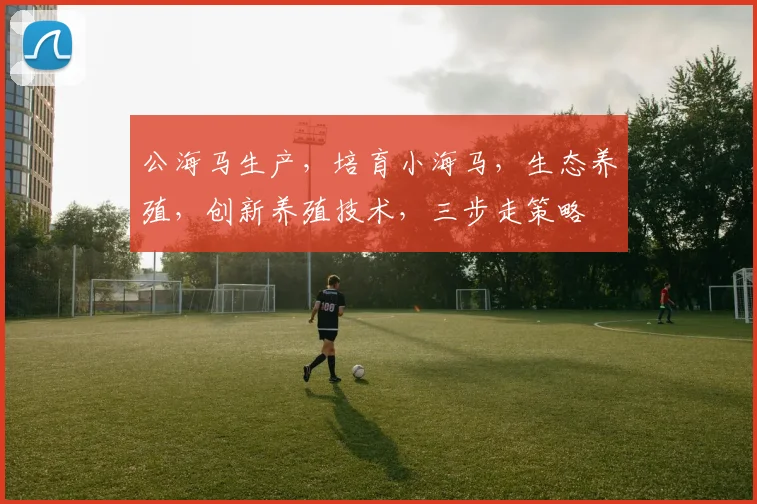 公海马生产，培育小海马，生态养殖，创新养殖技术，三步走策略