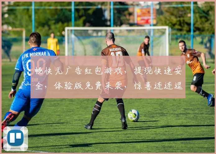 畅快无广告红包游戏，提现快速安全，体验版免费来袭，惊喜连连逗乐你，速来一探究竟